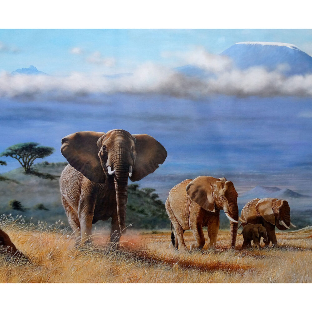 Elephant family walking through the grasslands at Amboseli National Park - By Daniel Njoroge