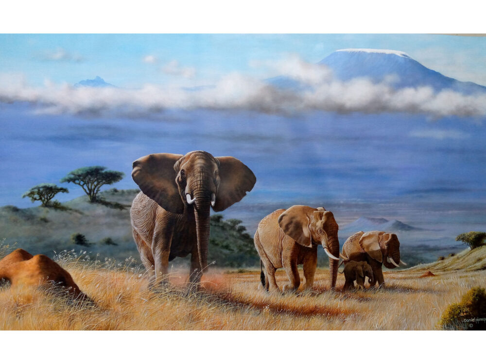 Elephant family walking through the grasslands at Amboseli National Park - By Daniel Njoroge