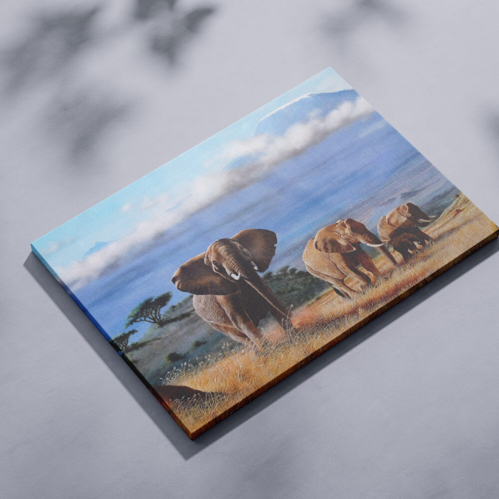 Amboseli Family - Elephants