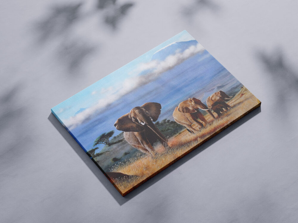 Amboseli Family - Elephants