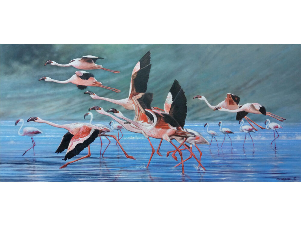 A painting of a group of flamingos taking off - By Daniel Njoroge