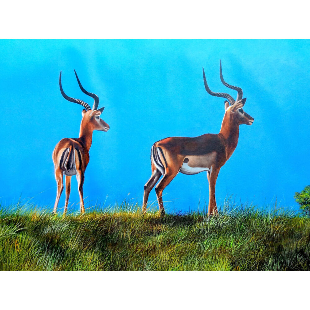 A painting of two antelopes standing in the grasslands - By Daniel Njoroge