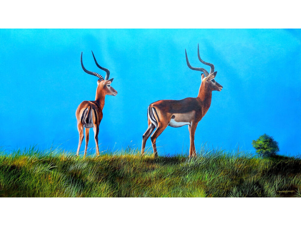 A painting of two antelopes standing in the grasslands - By Daniel Njoroge