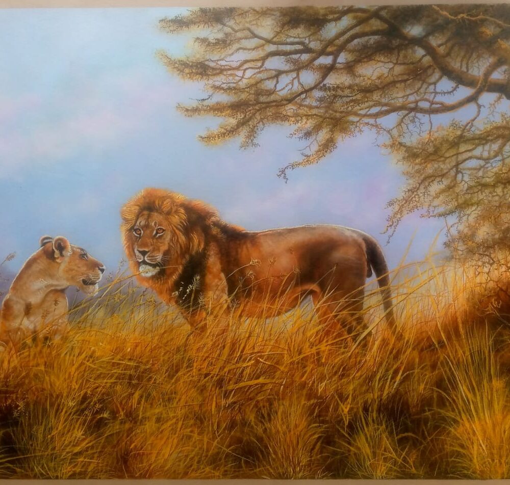 Wild Couple